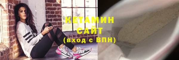ПСИЛОЦИБИНОВЫЕ ГРИБЫ Новозыбков