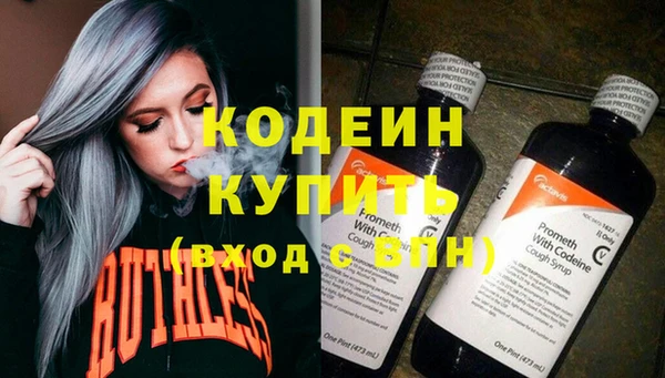 ПСИЛОЦИБИНОВЫЕ ГРИБЫ Новозыбков