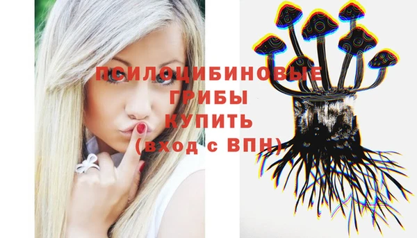 прущие грибы Алексеевка