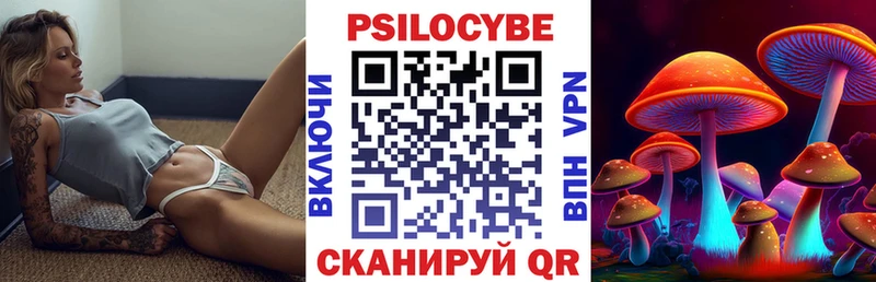 сколько стоит  Аргун  Псилоцибиновые грибы ЛСД 