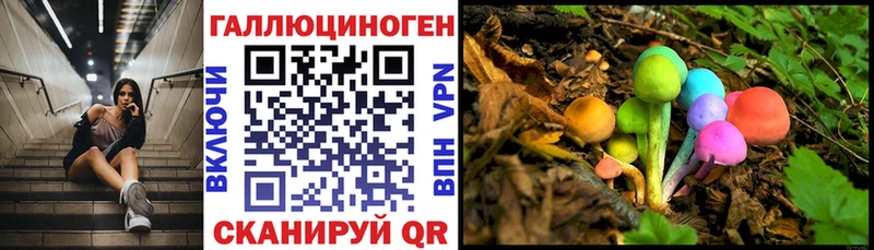 Псилоцибиновые грибы мухоморы Аргун
